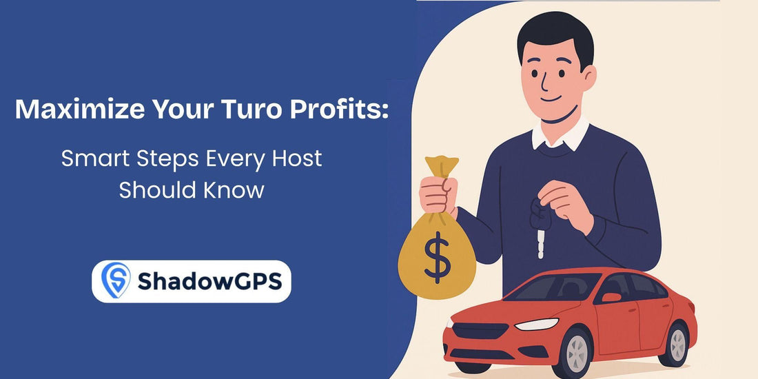 Turo Profits