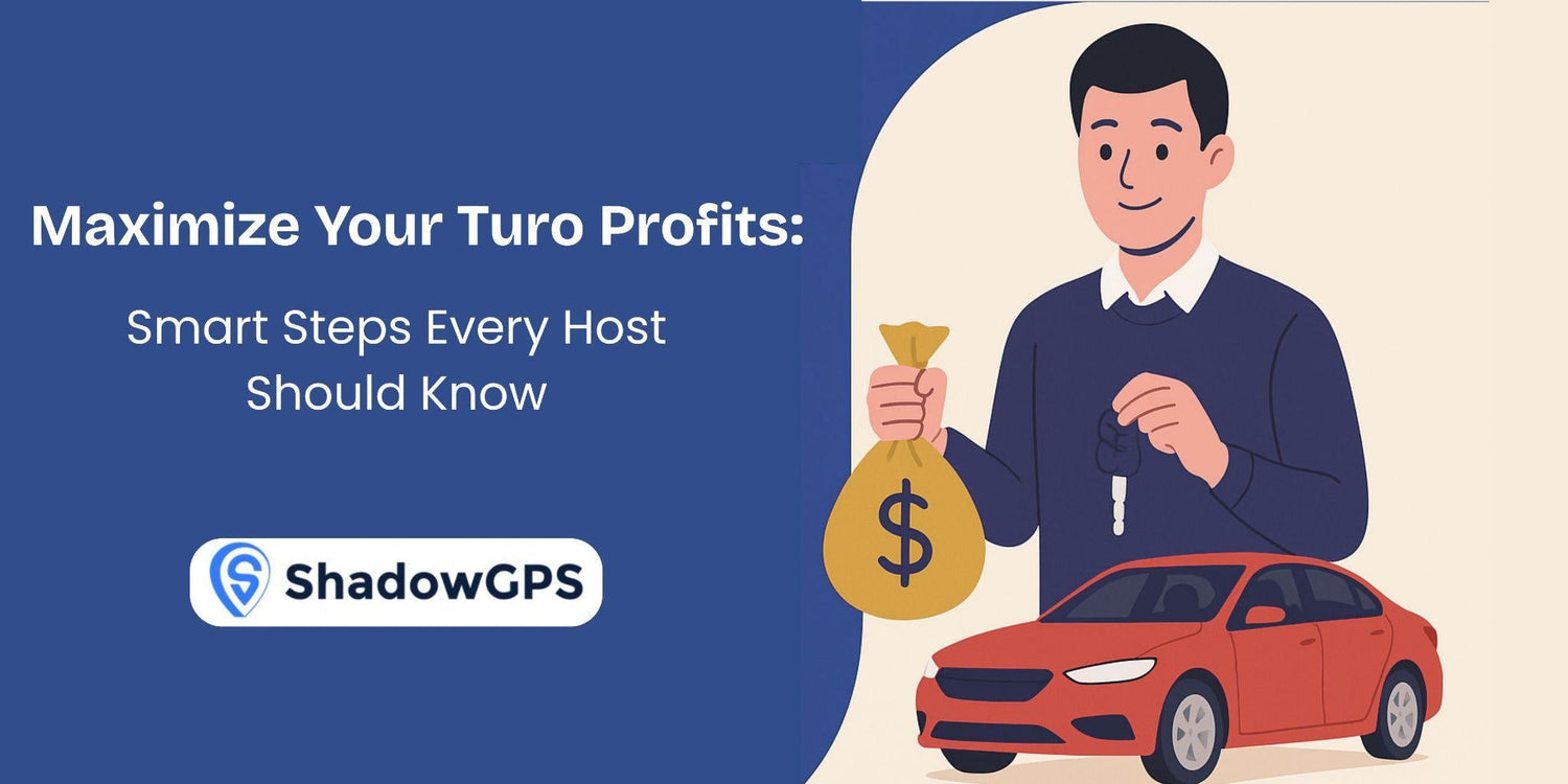 Turo Profits